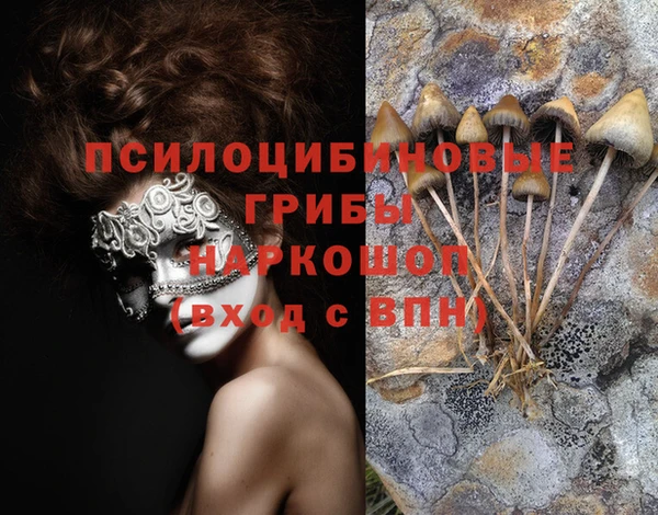 не бодяженный Алексин