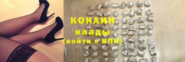 не бодяженный Алексин